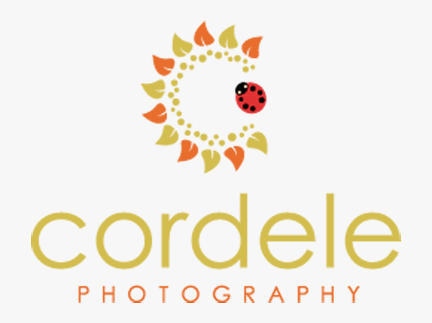 Cordele Photography - Bridgebio Pharma Logo, HD Png Download