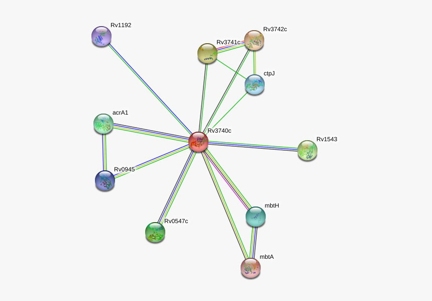 Rv3740c Protein, HD Png Download
