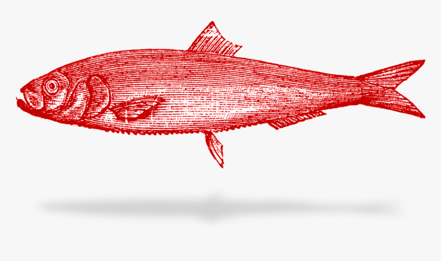 Can Stock, HD Png Download