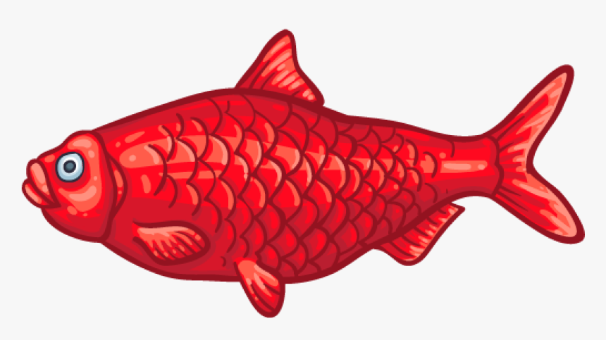 Goldfish, HD Png Download