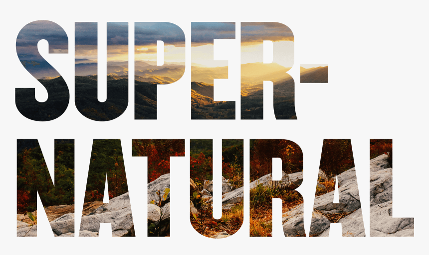 Super Natural - Plywood, HD Png Download