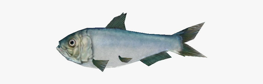 Download Zip Archive - Escolar, HD Png Download