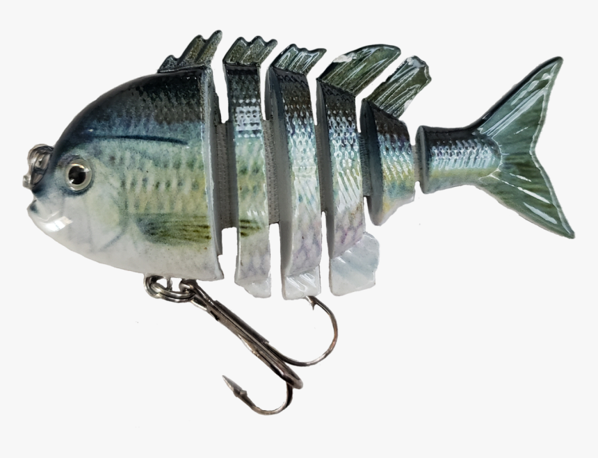 Bass, HD Png Download