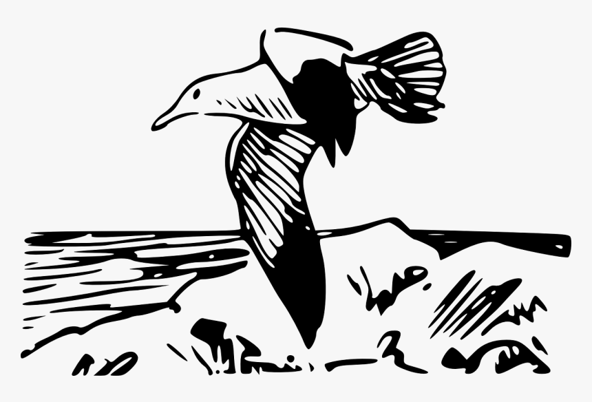 Coloring Pages Of Birds, HD Png Download