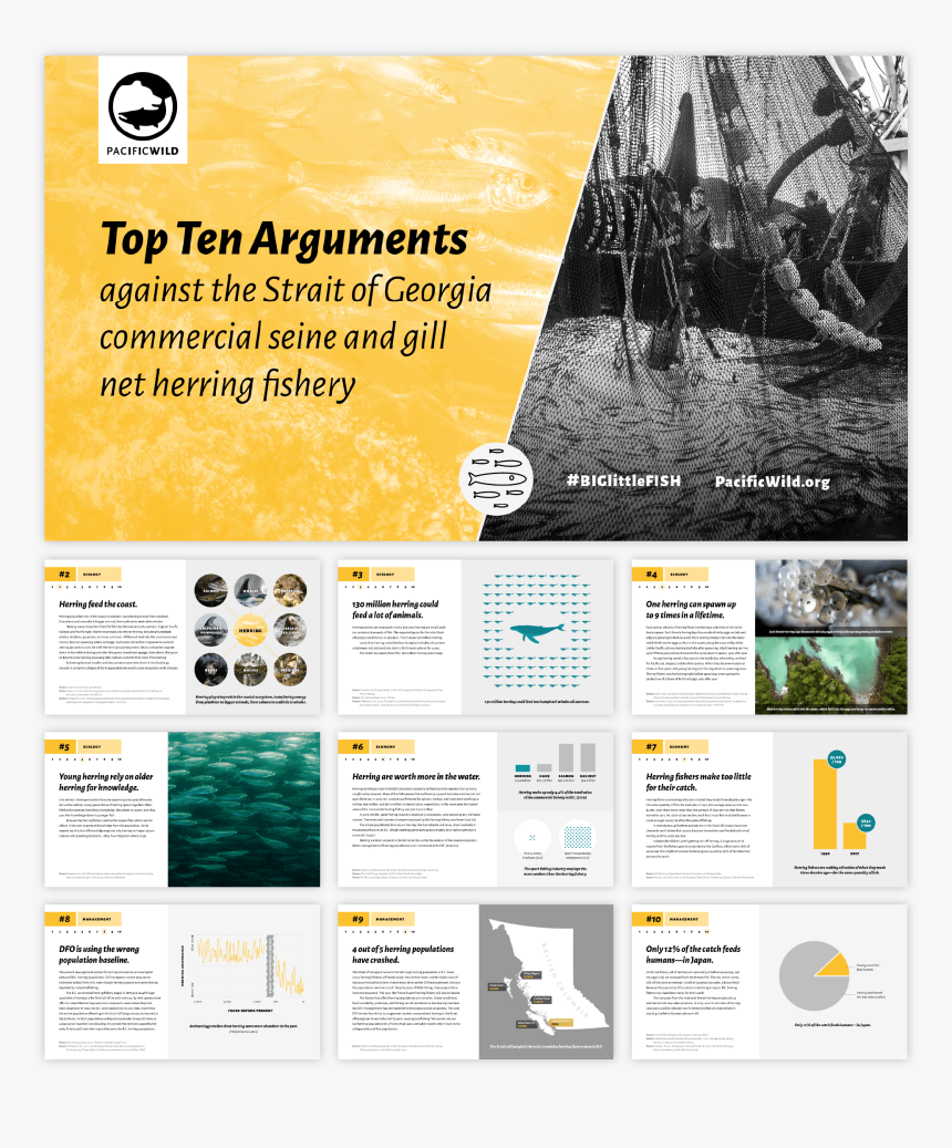 Flyer, HD Png Download