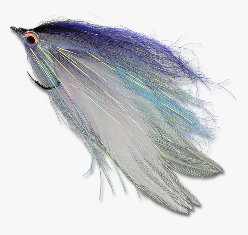 Major Herring - - Earrings, HD Png Download