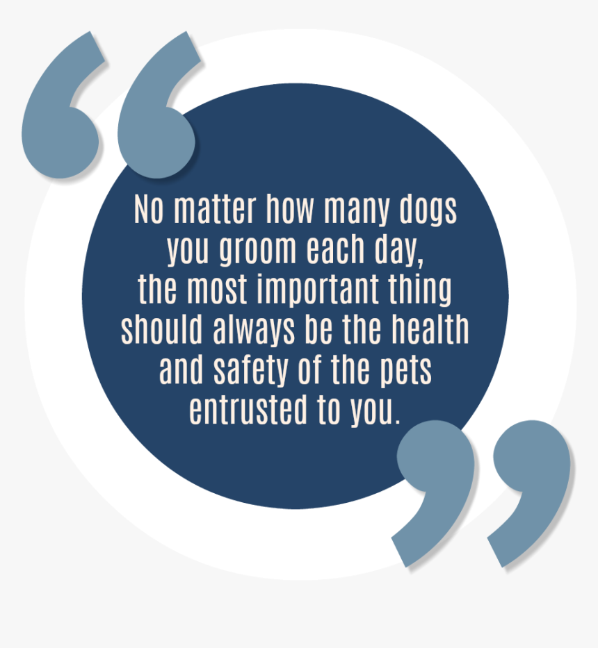 Rebooking Clients Quotes, HD Png Download