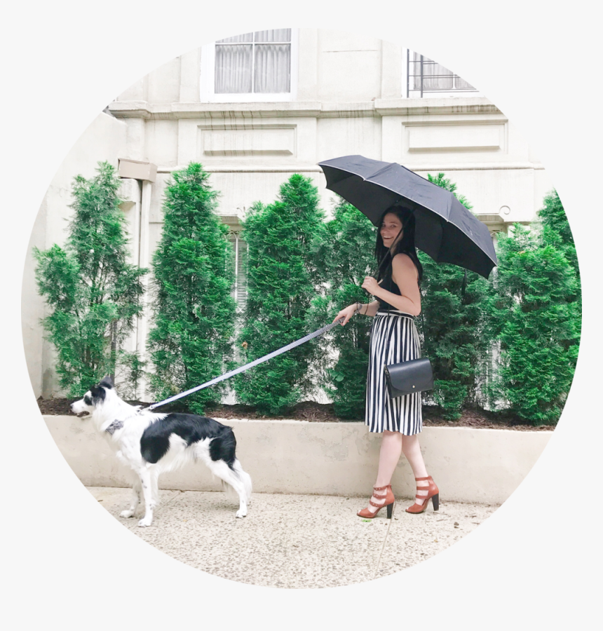 #dogmom Style - Dog Walking, HD Png Download