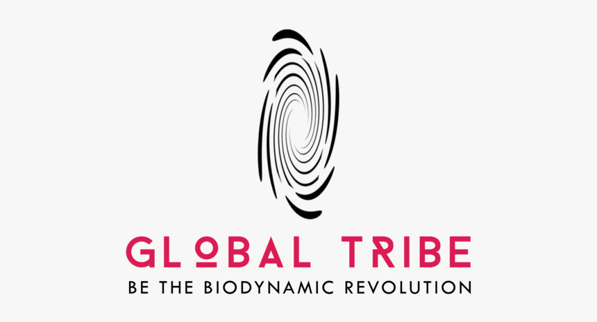 Global Tribe Banner - Graphic Design, HD Png Download