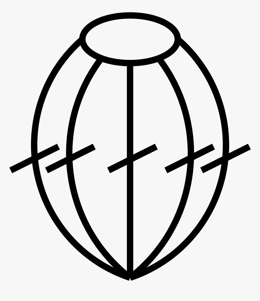 Circle, HD Png Download