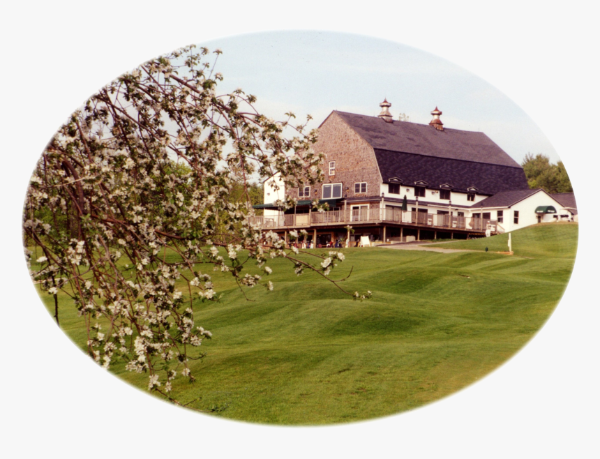 Grass, HD Png Download