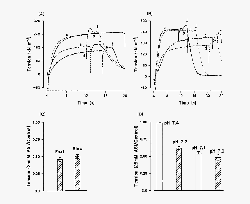 Diagram, HD Png Download