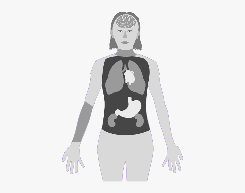 Mercury In Body System, HD Png Download