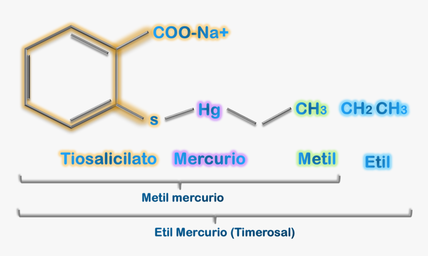 Etil Mercurio - Ковалент Гэж Юу Вэ, HD Png Download