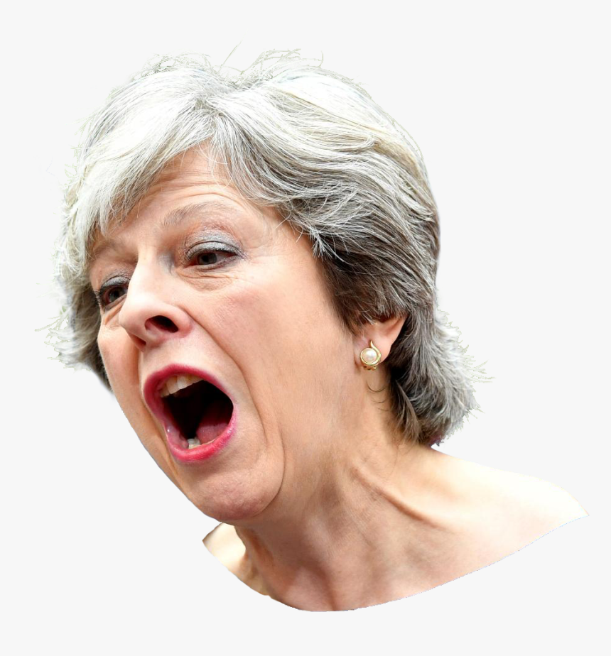 Theresa May Png, Transparent Png