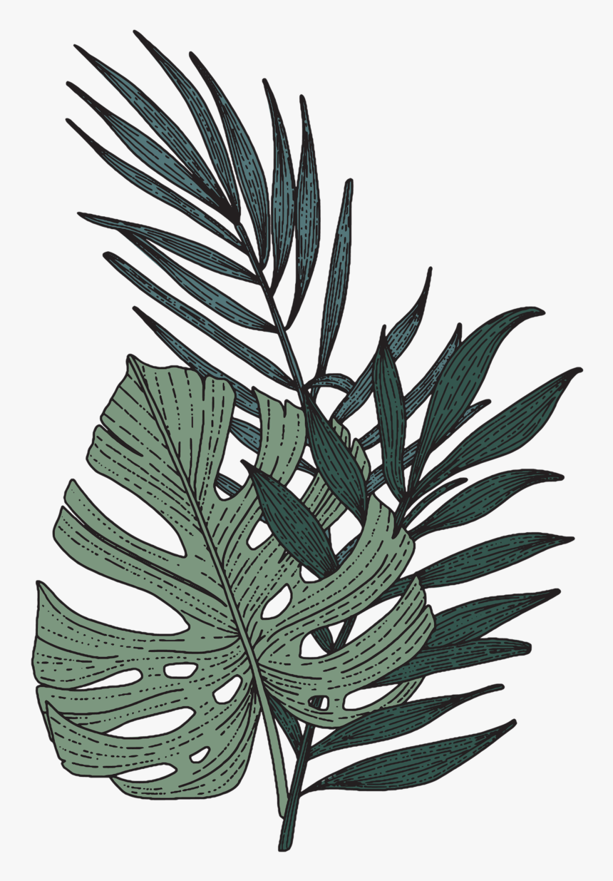 Amber Dawn Color Illustrations 03 Copy - Illustration, HD Png Download