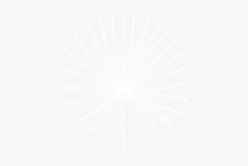 Amber Dawn Illustrations 03 Copy - Darkness, HD Png Download