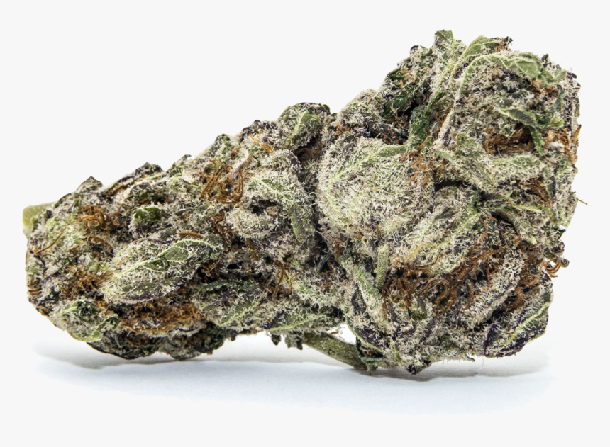 Nug Png, Transparent Png