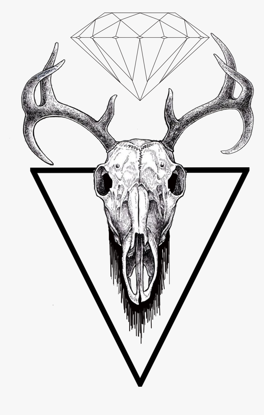 Transparent Find Us On Facebook Transparent Png - Deer Skull Ink Drawing, Png Download
