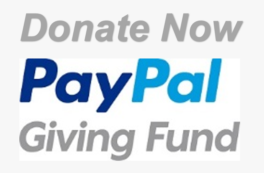 Paypal Giving Fund Non-profit Organisation Donation - Paypal, HD Png Download