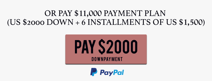 Transparent Boss Lady Png - Paypal, Png Download