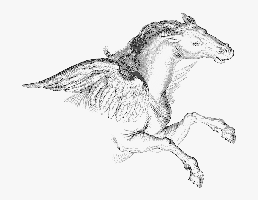 Pegasus Png, Transparent Png