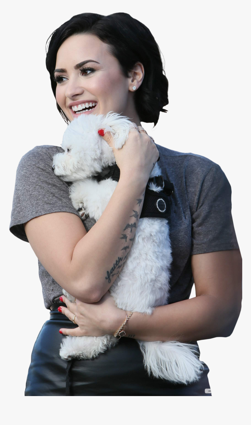 Correas Para Bichon Maltes, HD Png Download
