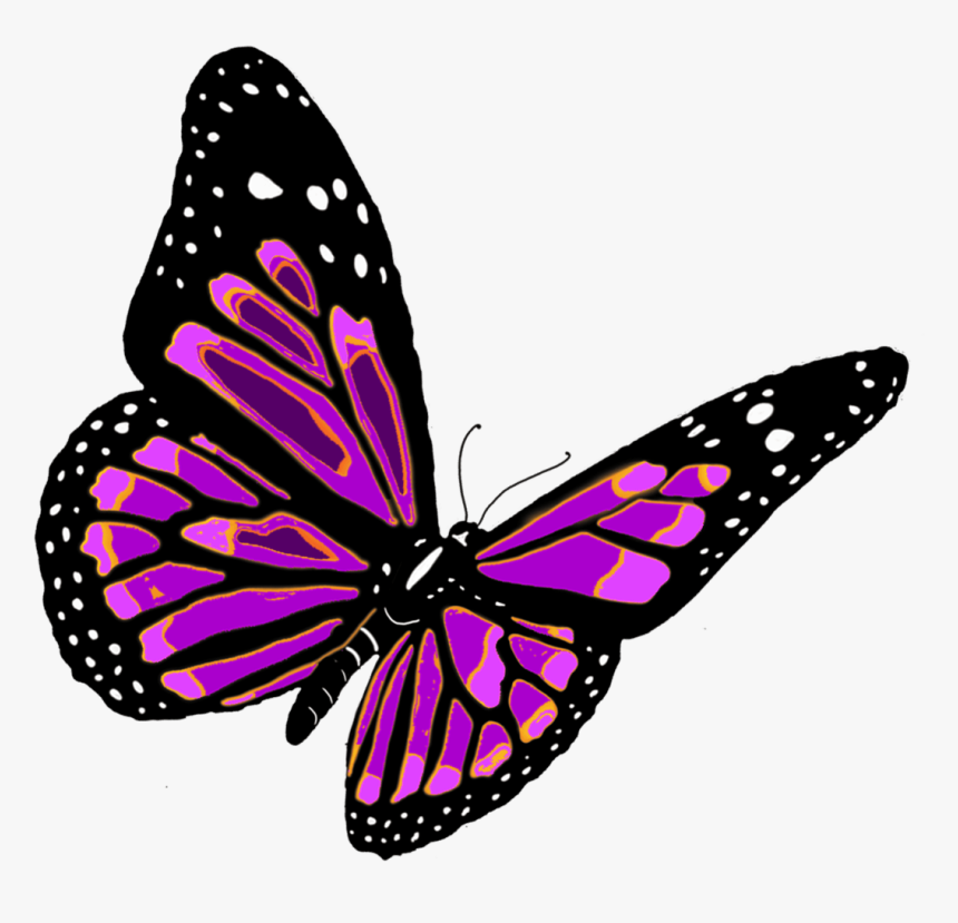 Monarch Butterfly Transparent Background, HD Png Download