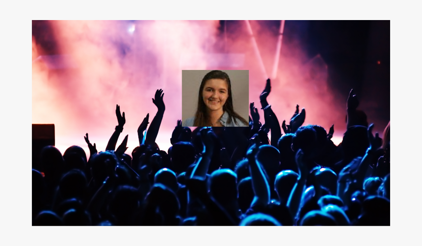 Selfie Stick At Concert, HD Png Download