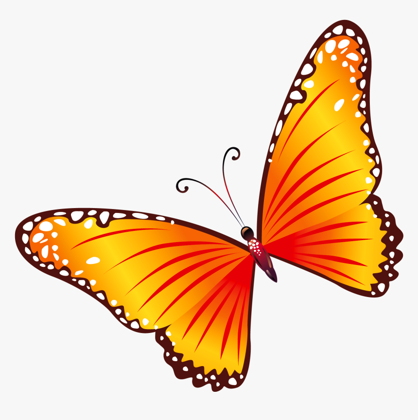 Butterfly Png - Butterfly Clip Art Png, Transparent Png