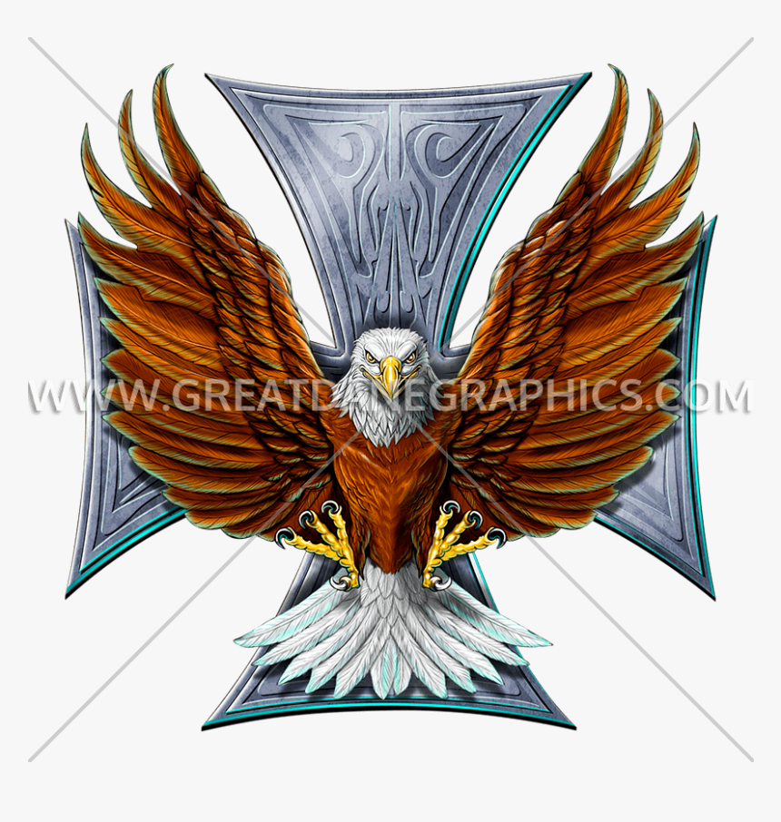 Transparent Flying Eagle Clipart - Bald Eagle, HD Png Download