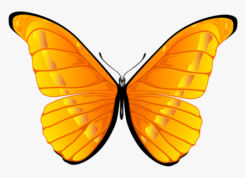 Orange Butterfly Png Clip Art Clipart 7000 4739 Bbq - Butterfly Clipart Png, Transparent Png