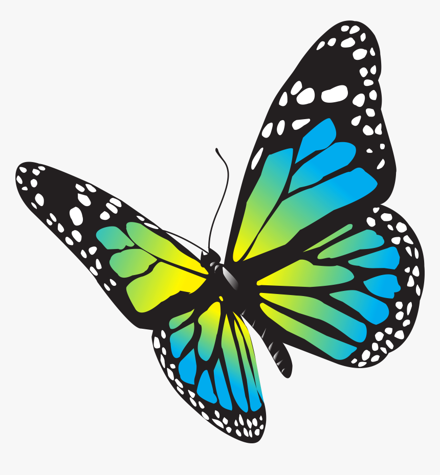 Large Butterfly Png Clip Art Image Png Download, Transparent Png