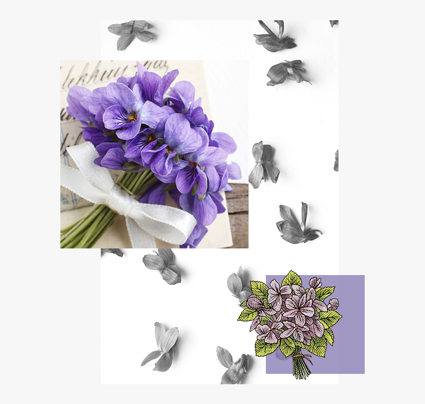 Explore Violet Bouquet - Букет Фиалок С Днем Рождения, HD Png Download