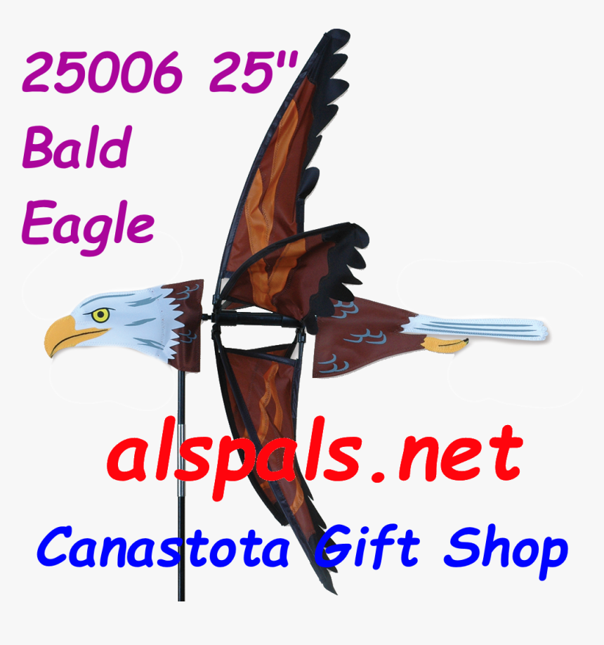 Bald Eagle, HD Png Download