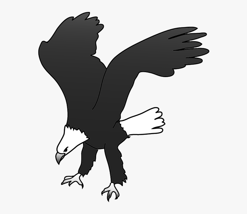 Bald Eagle Drawing Landing For Prey - New Eagle Landing Clipart, HD Png Download