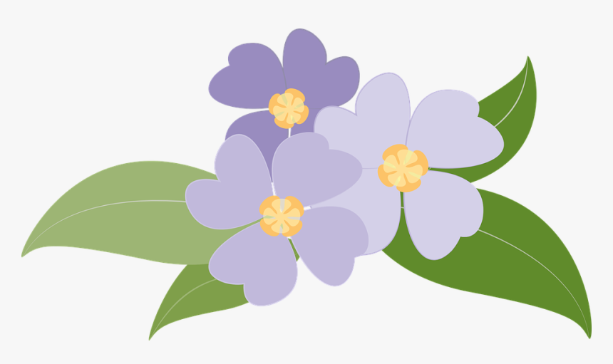 Transparent Violets Png - ดอกไม้ กราฟฟิก สวย ๆ, Png Download