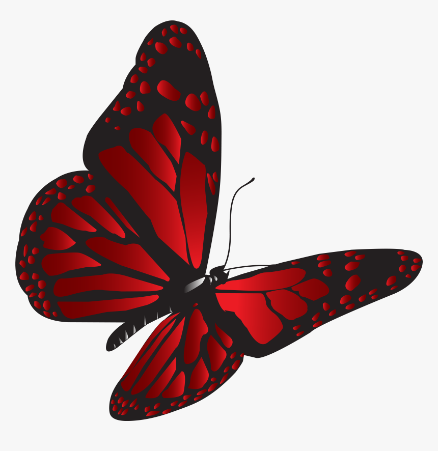 Red Butterfly Png , Png Download, Transparent Png