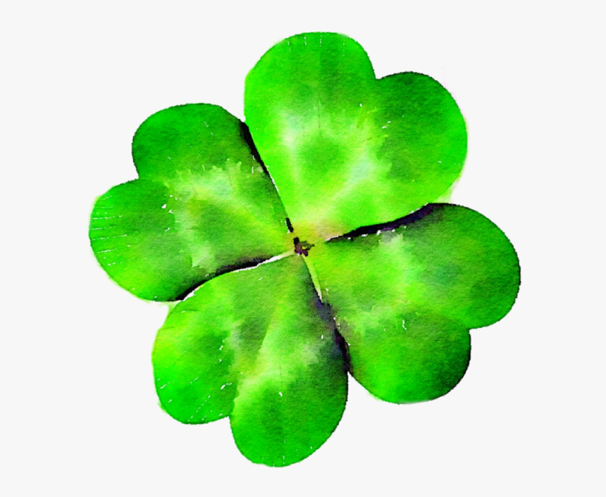 Four Leaf Clover, Clover, Green, St Patty S Day Png - Four Leaves Clover Png, Transparent Png