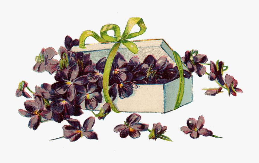 Browallia Speciosa, HD Png Download