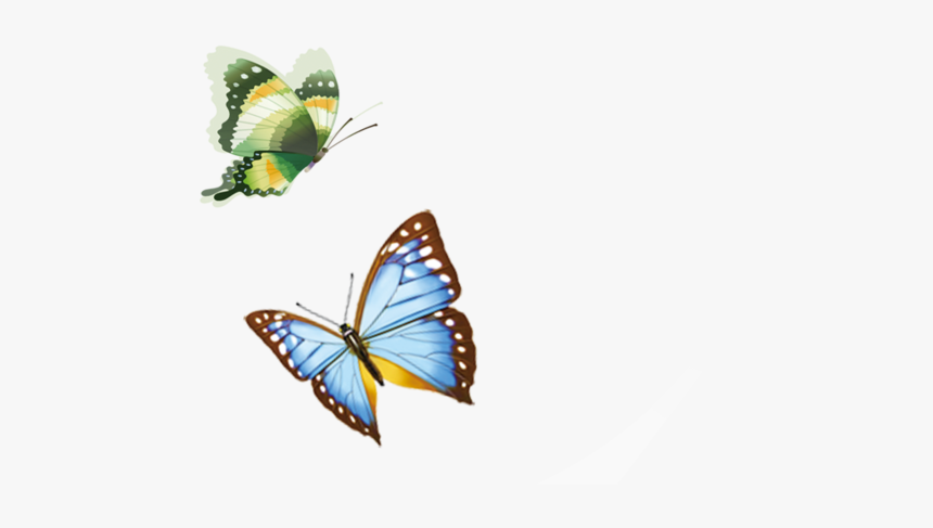 Butterfly Flying Png Download - Butterfly Flying Transparent, Png Download