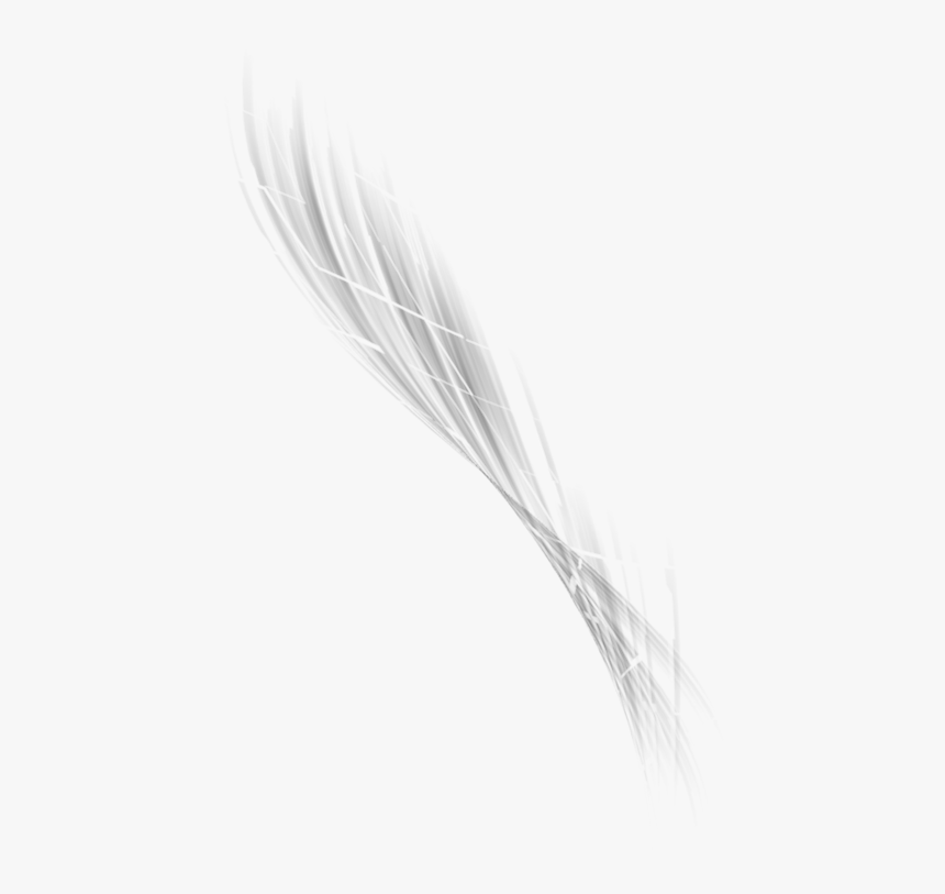 Image Abstract Png Transparent - Einkorn Wheat, Png Download