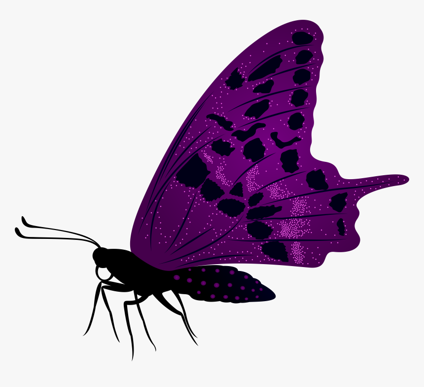 Large Purple Butterfly Png Clip Art Imageu200b Gallery, Transparent Png