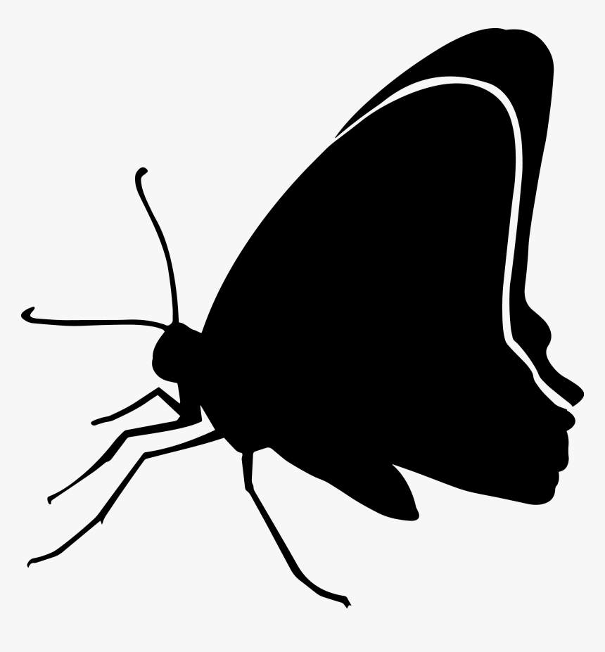15 / Black Butterfly Clip Art Silhouette Image - Butterfly, HD Png Download