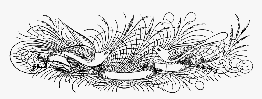 Portable Network Graphics, HD Png Download