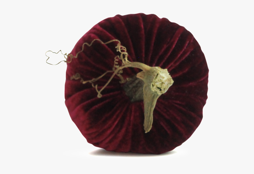 Wild Violets Trio 
 
 Data Image Id 15295533062 
 Class - Red Onion, HD Png Download