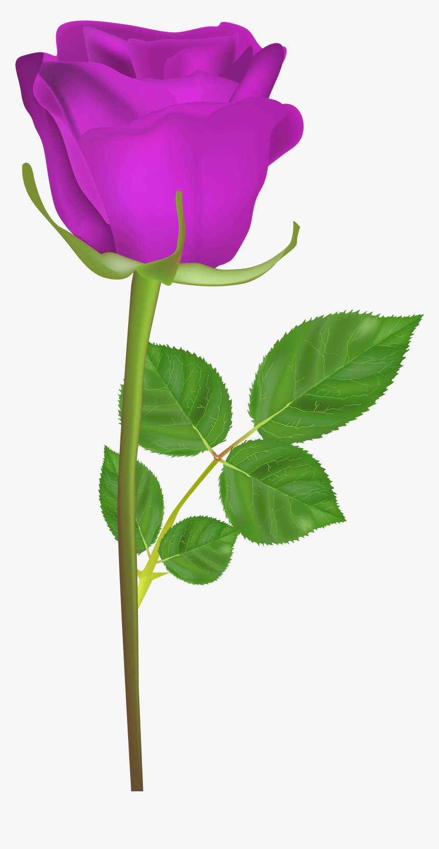 Rose With Stem Purple Png Clip Art Imageu200b Gallery - Gulab Ka Phool Hd, Transparent Png