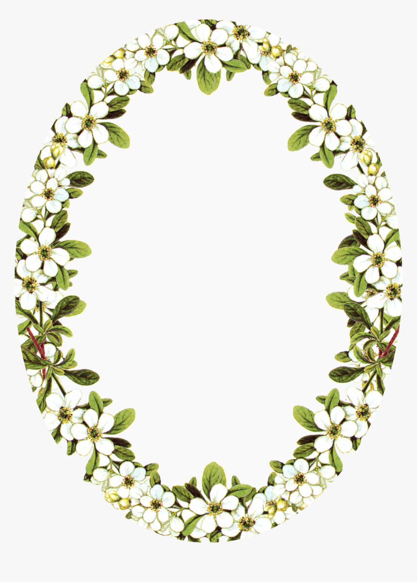 Transparent Oval Frame Png - Vintage Flower Frame Png, Png Download