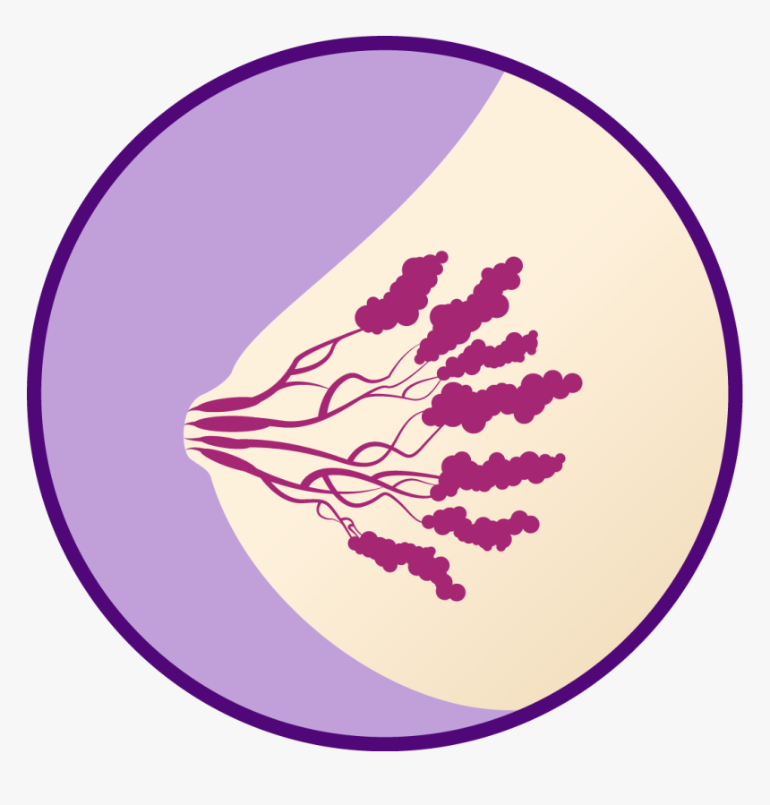 Breast Tenderness Clipart Png, Transparent Png