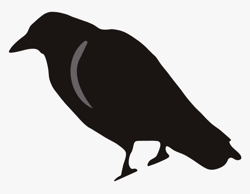 Crow Clipart Birds And Clip Art Photo Crowclipart - Crow Clip Art, HD Png Download